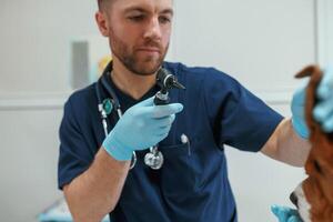 Using ,tool to check ears. Male veterinarian is working with beagle dog in the clinic photo
