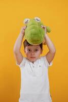Front,, view. Little boy is in the ,studio, against yellow background photo