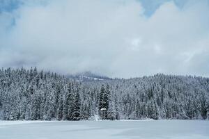 Majestic view of Carpathian mountains at winter time, frozen lake is covered with snow photo