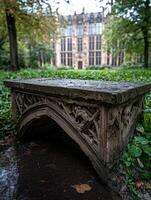 Ornate stone bridge in a garden with a building in the background photo