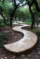 A winding stone path through a lush green forest. photo