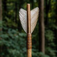 Close up of a handmade arrow with feather fletching in a forest photo