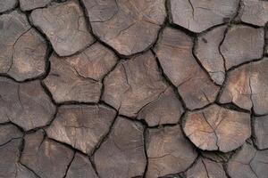 Textured surface of rustic wooden block pavement, creating an abstract pattern photo