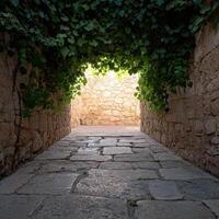 Sunlit stone pathway with lush green foliage overhead photo