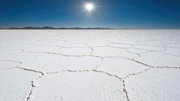 Vast, cracked salt flats under a bright sun photo