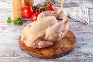 A chicken on a wooden cutting board with a knife and a tomato photo