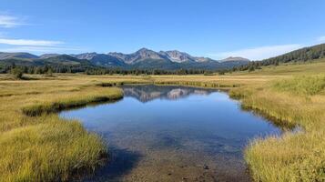 Lush green grass surrounds tranquil lake reflecting majestic mountains under clear blue sky photo