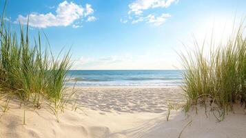 serene beach view with tall grass framing sandy shore and gentle waves under bright sky photo