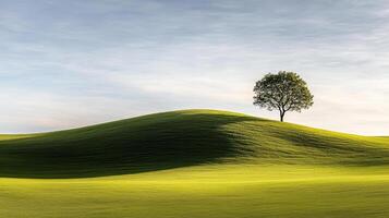 solitary tree stands on grassy hill, creating serene landscape under soft sky photo