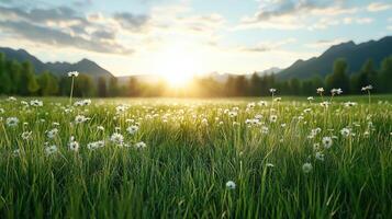 serene meadow filled with tall grass and blooming flowers under bright sunrise photo