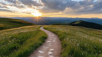 scenic hilltop trail leads through lush green grass, illuminated by stunning sunset photo