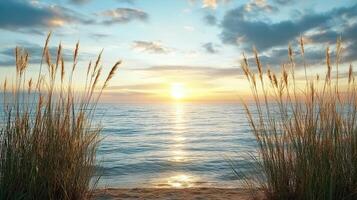 Golden sunset over calm ocean waves, framed by tall beach grass, evokes tranquility and peace photo