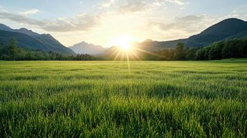 serene meadow glowing in golden light with mountains in background photo