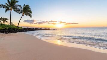 Serene beach at sunset with palm trees and gentle waves lapping shore photo