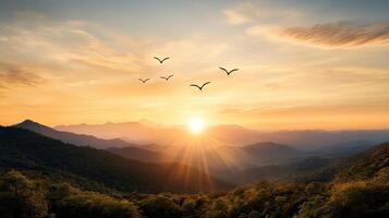 Sunset over mountains with birds flying over them photo