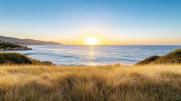 Golden sunset over ocean waves, with grass swaying gently in breeze, creates serene atmosphere photo