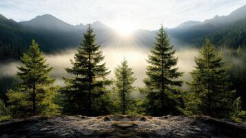 A view of the sun shining through the trees in the mountains photo