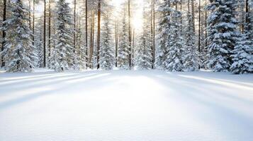 Winter landscape with snow covered trees and sun rays photo