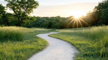 winding path through lush green meadow, illuminated by warm glow of setting sun, creates serene photo