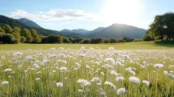 serene wildflower field with white flowers swaying gently breeze, surrounded by mountains photo