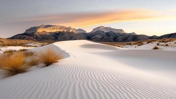 serene desert landscape features rolling white sand dunes under soft sunset glow photo