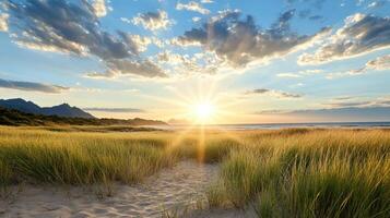 serene sunset over sandy beach, with golden grass swaying gently in breeze photo