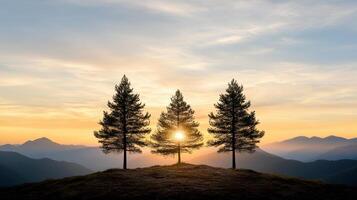 Three trees on top of a mountain at sunset photo