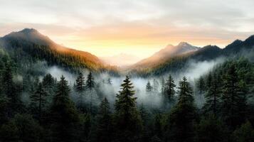 Majestic forest landscape with misty mountains and soft sunrise hues photo