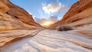 Golden light illuminates textured canyon walls, creating serene landscape at sunset photo