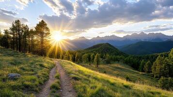 A trail leads through a grassy field to a mountain range photo