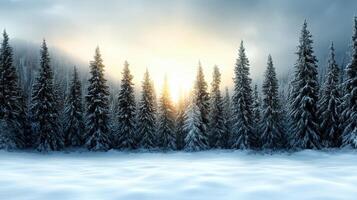 Winter landscape with snow covered trees and sun photo