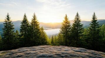 Majestic pine trees stand tall against stunning sunrise over misty mountains, creating serene photo