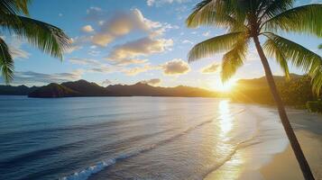The sun sets over a tropical beach with palm trees photo