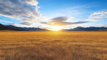 Golden grass field stretches under vibrant sunset sky, creating serene landscape photo