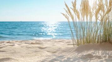 Golden grass sways gently by ocean, reflecting warm sunlight on sandy beach photo