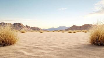 Desert landscape with grass and sand dunes photo