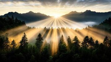 Golden hour sun rays illuminate misty forest, creating serene and magical atmosphere photo