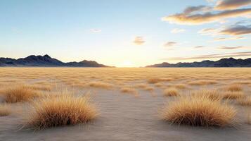 Desert landscape with grass and mountains at sunset photo