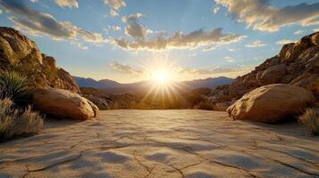Sunset over the desert with rocks and plants photo