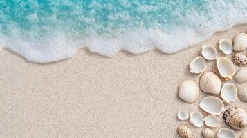 Sea shells on the beach with a wave photo