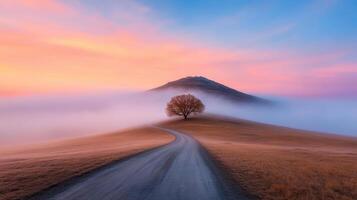 A lone tree stands on a dirt road in the fog photo