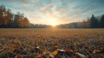 Autumn landscape with trees and grass photo