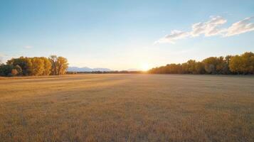 Golden field under sunset with trees in autumn colors, creating serene atmosphere photo