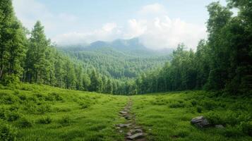 Lush green landscape with winding path through trees and mountains in background photo