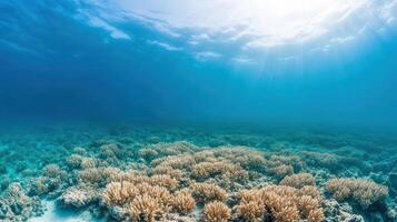 Coral fields gently swaying deep ocean current, showcasing vibrant marine life and tranquility photo