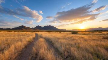 Golden sunset over vast desert landscape with mountains and winding path photo