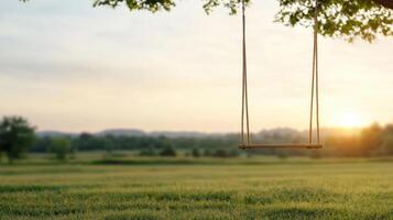 A swing hanging from a tree in a field photo