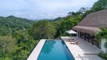 A pool in front of a thatched roofed house photo