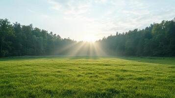 Lush green field with sunlight rays breaking through trees, creating serene atmosphere photo