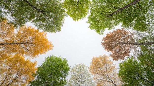 lozano arboles en vibrante colores marco sereno cielo, creando pacífico atmósfera foto